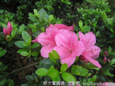 碎碎念
