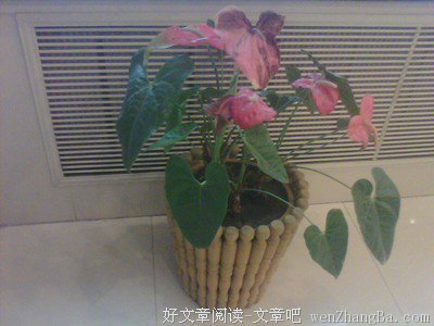 关于立冬的句子