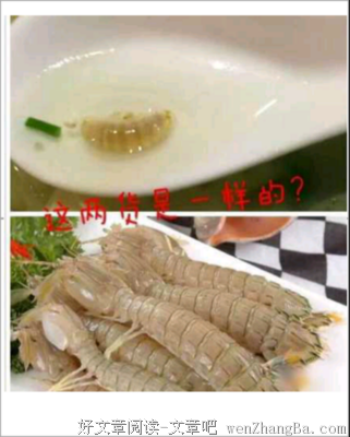 最新的皮皮名言名句