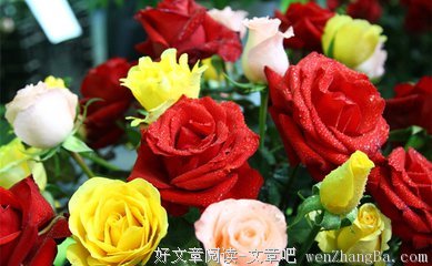 最全的《白痴》好段摘抄