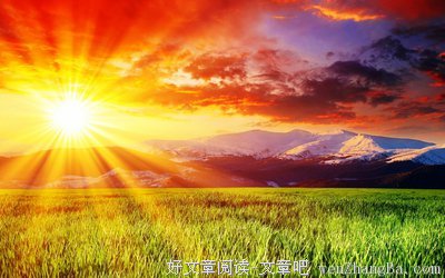 最新的孟斜阳精彩语录