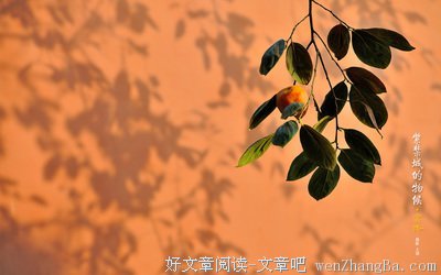 茅盾的名言_关于茅盾的名言