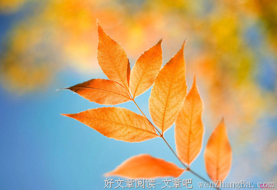 鲁莽的句子_关于鲁莽的句子