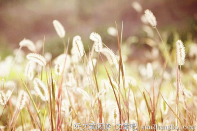 最经典的北川理惠经典语录