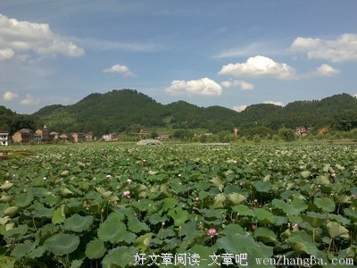 最新的曾国藩名言名句