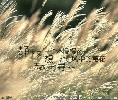最经典的《流水迢迢》经典语录