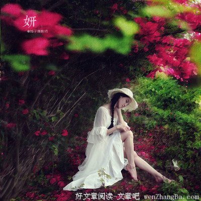 《欣赏的艺术》经典的句子