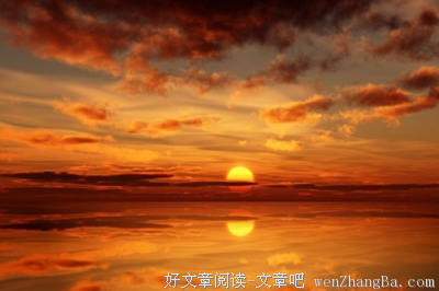描写猪猪的经典句子