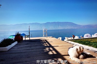 一年一度的名句_关于一年一度的名句