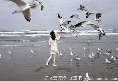如期而至的句子