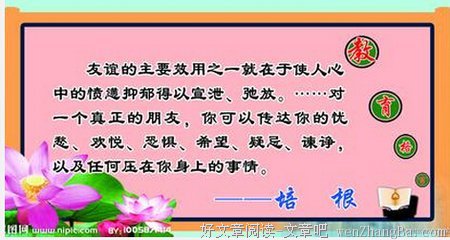 最新的麦家名言大全