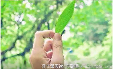 关于仔细的格言