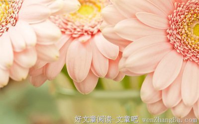 2017韩系经典名句