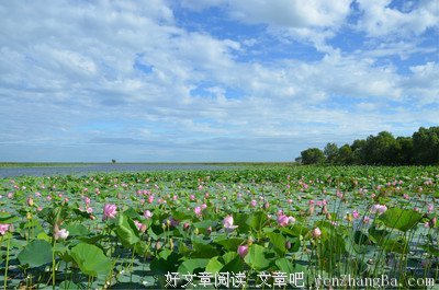 最经典的《黑瞎子师傅》经典的句子大全