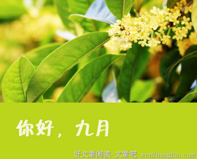 最新的《九月九》经典句子大全