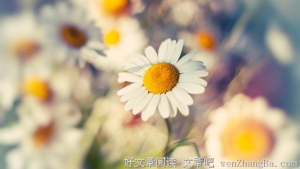 最经典的《兰屿之歌 清泉故事》经典的句子大全