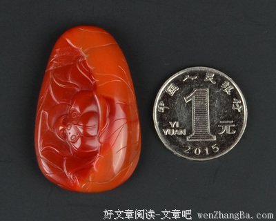 《琥珀》经典句子