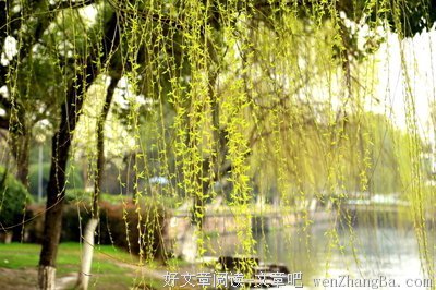 杨柳岸的名人名言