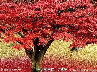 最新的《上流社会》经典语句大全