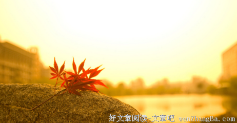 15条关于不期而至的经典句子