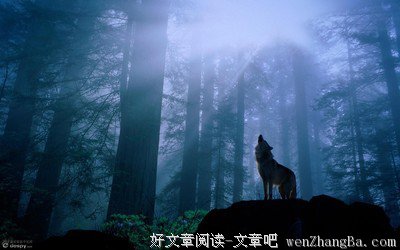 最经典的一朝勘破名言大全