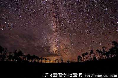 《长在面包树上的女人》佳句摘抄