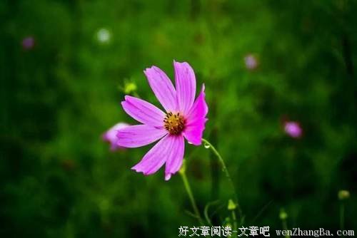 好好活着，别生气