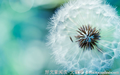 最经典的施人诚的名言名句