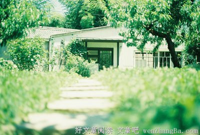 似是而非的句子