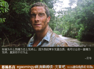 最新的黄灿然的名言名句