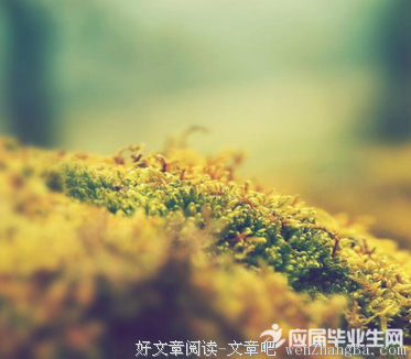 最经典的撒冷名言大全