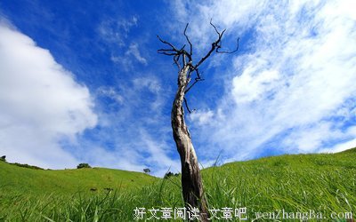 最新的《如果你曾奋不顾身爱上一个人》好段摘抄大全