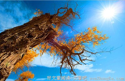 与世无争的名言_关于与世无争的名言