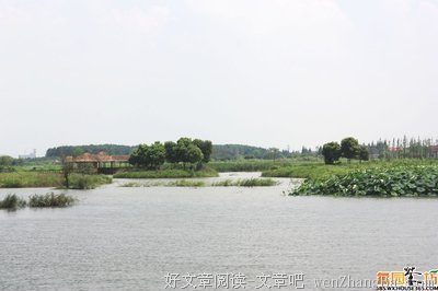 2017梁鸿15句经典名言