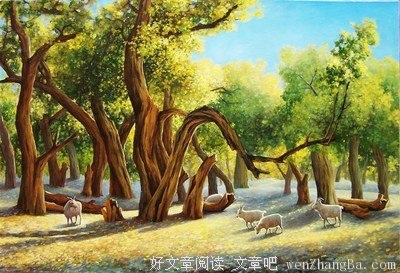 最经典的《霜冷长河》美文摘抄大全