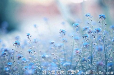 关于任思的名言