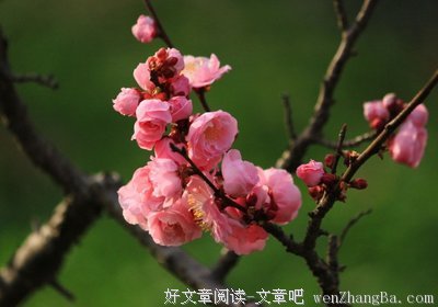 最新的《神在远方喊我》语录摘抄