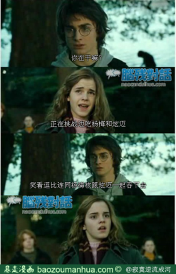 关于杨梅的名言