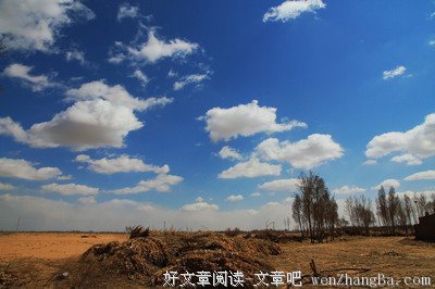 安好的晴天（全）