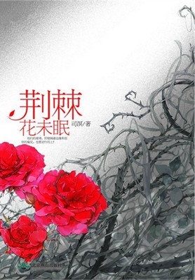 2017司溟经典名句