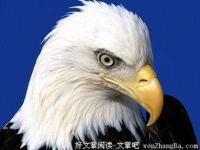 最新的蔚蓝的名言名句