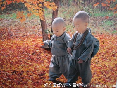 最新的《智慧奥秘》经典语录大全