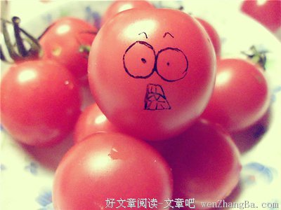 15条关于艾玛的经典句子