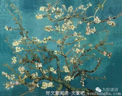 文森特的名句_关于文森特的名句