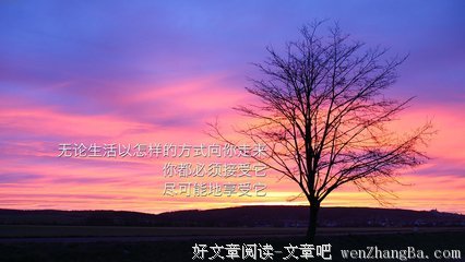 最经典的梅长苏的名言名句