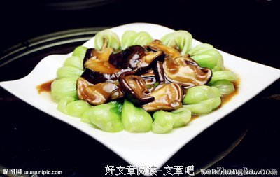 2017花香蘑菇经典名句