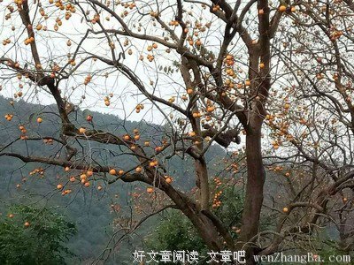 最经典的《左传》经典语录