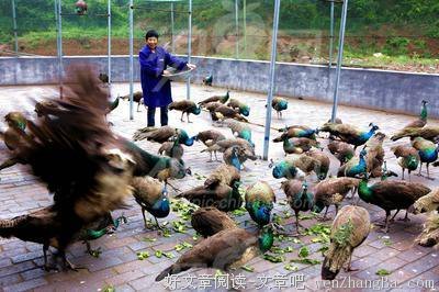 远安的名人名言