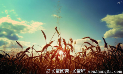 关于小兵的唯美句子