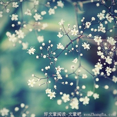 关于劳苦的句子